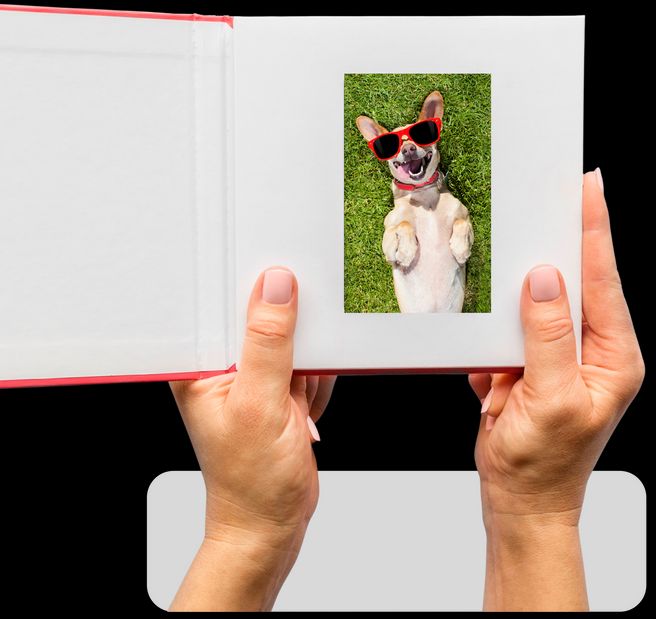 Hands holding a video book